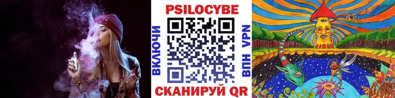 Псилоцибиновые грибы мицелий  Урус-Мартан 