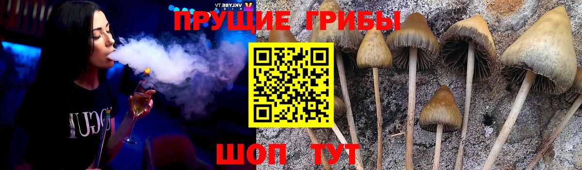 Псилоцибиновые грибы мицелий  Вход с VPN  Галлюциногенные грибы ЛСД  Урус-Мартан 